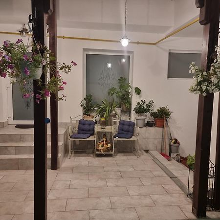 肯普隆格 Casa Musceleana酒店 外观 照片