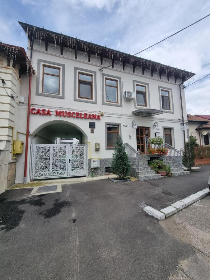肯普隆格 Casa Musceleana酒店 外观 照片