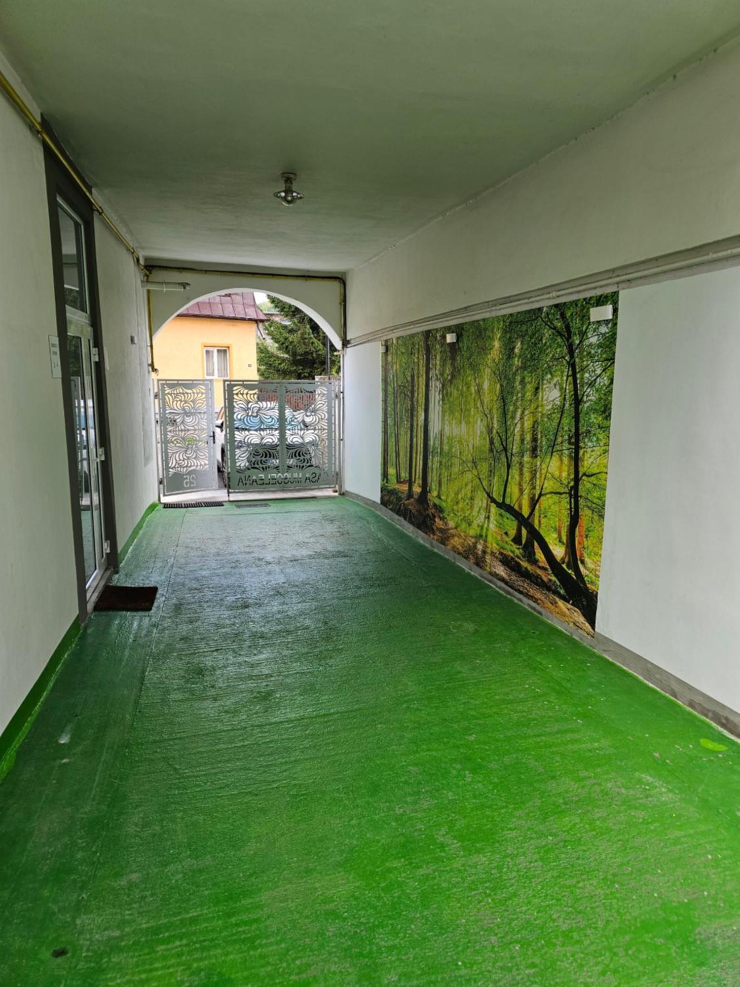 肯普隆格 Casa Musceleana酒店 外观 照片